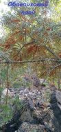 Городские соревнования, посвященные 165-й годовщине со дня рождения К.Э. Циолковского Городские соревнования, посвященные 165-й годовщине со дня рождения К.Э. Циолковского